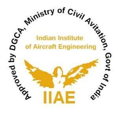 Indian Institute of Aircraft Engineering(IIAE DELHI) Logo