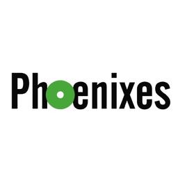 Phoenixes Multi Solutions Inc. Logo