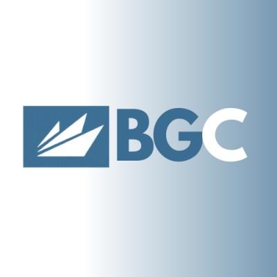 BridgeGroup Consultants  Logo