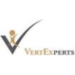 Vertexperts Consulting LLP Logo