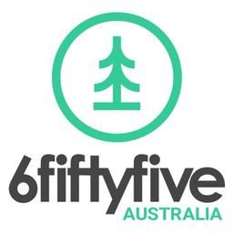 6fiftyfive Logo