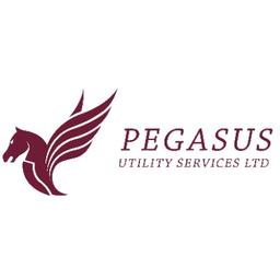 Pegasus Utility Services LTD Logo
