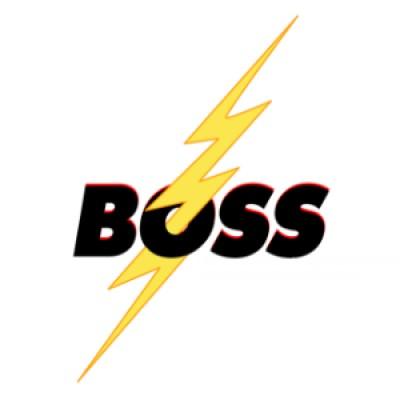 BOSS LTG's Logo