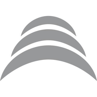 mediaPro International LLC Logo