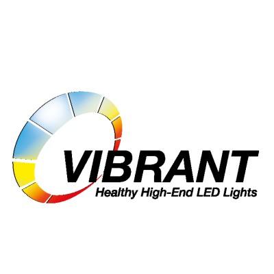 VIBRANT LED Lights Logo