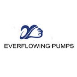 Jinan Everflowing Pumps Co.Ltd Logo