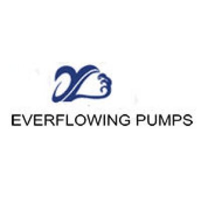 Jinan Everflowing Pumps Co.Ltd Logo