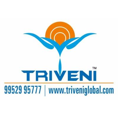 Triveni Global Private Limited India's Logo