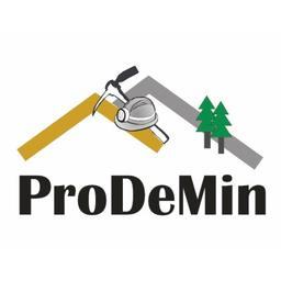 Prodemin Logo