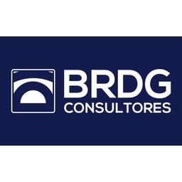 BRDG Consultores Logo