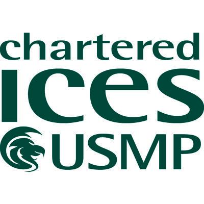 Utilities and Subsurface Mapping Panel Logo