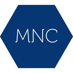 Michael Nestrud Consulting Logo