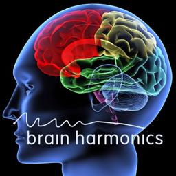 Brain Harmonics Fourways Logo