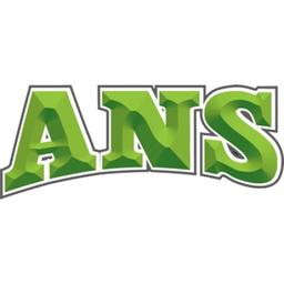 ANS SCRAP METAL LTD Logo