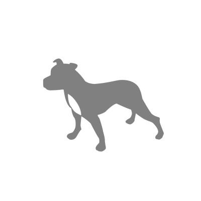 Grey Dog Logo
