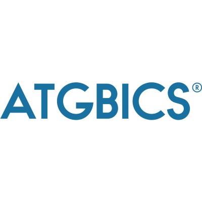 ATGBICS.com's Logo