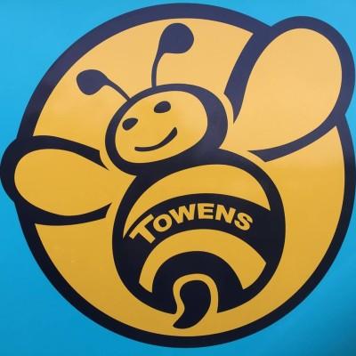 Towens Group Logo