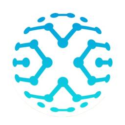 Blue-X Logo