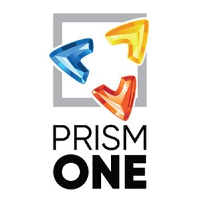 Prism One Group Inc Logo