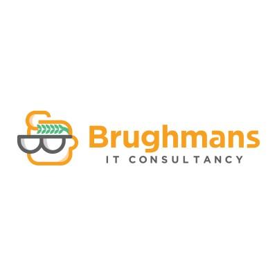 Brughmans IT Consultancy Logo