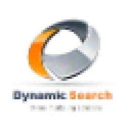 Dynamic Search LLC Logo