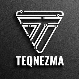 Teqnezma Electronics Pvt. Ltd. Logo