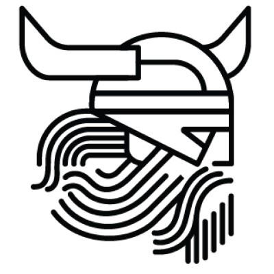 Viking Consultancy's Logo