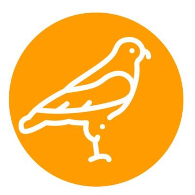 Orange Hawk Digital Logo