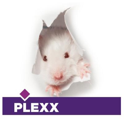 Plexx B.V. Logo
