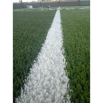 Guangzhou Artificial Grass Logo