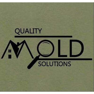 Quality Mold Solutions LLC.'s Logo