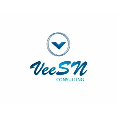 VeeSN Consulting Agency Logo