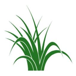 Meristem Agronomic Consulting Logo
