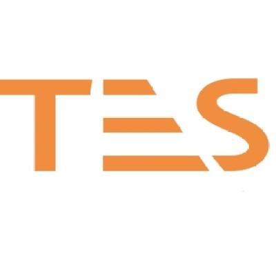 TES 2000 Ltd Logo