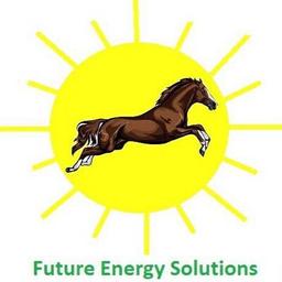 Future Energy Solutions Logo