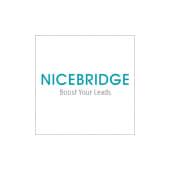 NICEBRIDGE Logo