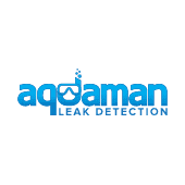 Aquaman Leak Detection Logo
