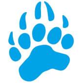 Data Bear Logo