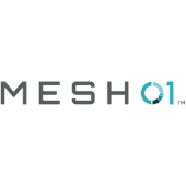 MESH01 Logo