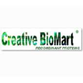 CreativeBiomart's Logo