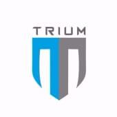 Trium Designs Pvt. Ltd. Logo