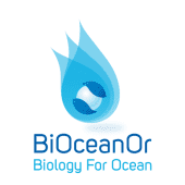 BiOceanOr's Logo