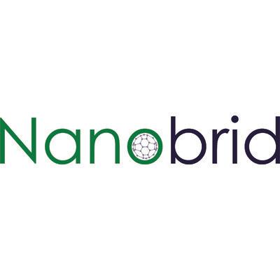 Nanobrid's Logo