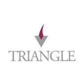 Triangle Venture Capital Group Logo