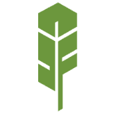 Green Feather Software Logo