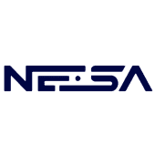 Nesa Solutions Logo