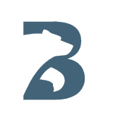 Blue Bear Capital's Logo