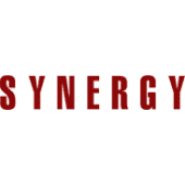 Synergy Consulting Logo