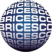 BRICESCO LIMITED Logo