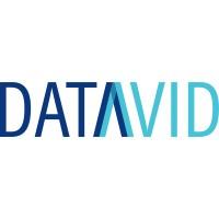 Datavid Logo